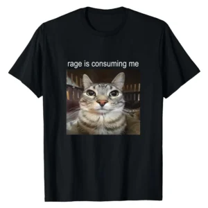 Rage is Consuming Me Silly Staring Cat Meme T-Shirt